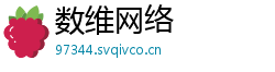 数维网络